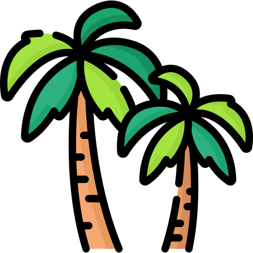 Coconut Tree
